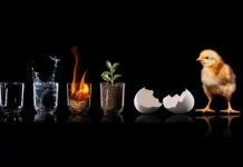 Citazioni famose sulla vita, la felicità e l’amore