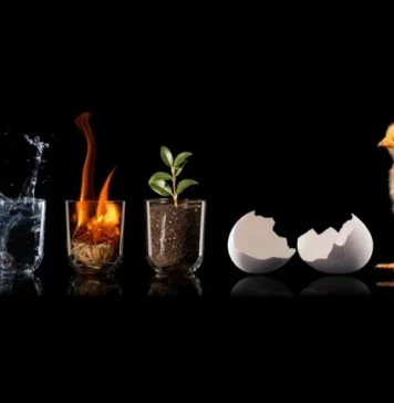 Citazioni famose sulla vita, la felicità e l’amore